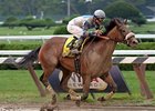 Sweet Reason<br><a target="blank" href="http://photos.bloodhorse.com/AtTheRaces-1/at-the-races-2013/27257665_QgCqdh#!i=2737606447&k=t6xqs3k">Order This Photo</a>