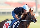 Red Cadeaux