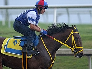 Wildcat Red Breezes, All Set for Next Start Wildcat Red Breezes, All Set for Next Start