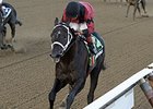 Cairo Prince faces 10 in the Holy Bull Stakes.<br><a target="blank" href="http://photos.bloodhorse.com/AtTheRaces-1/at-the-races-2013/27257665_QgCqdh#!i=2881574873&k=dvzWBXq">Order This Photo</a>
