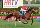 Viva Rafaela won an allowance/optional claiming race at Gulfstream Park on November 11.