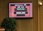 Hip 413, a bay colt by Bernardini, brought $925,000.