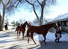Keeneland January Sale