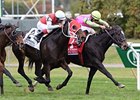 In her past eight starts, Effie Trinket has registered four victories, two seconds, and two thirds.