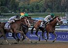 Mucho Macho Man Huge in 'Millions' Classic Mucho Macho Man Huge in 'Millions' Classic