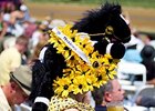 The Preakness Party: It's for Winners The Preakness Party: It's for Winners