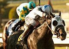 Sahara Sky heads to New York to try the Carter Handicap.