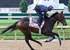 Filly Ria Antonia Confirmed for Preakness Filly Ria Antonia Confirmed for Preakness
