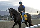 Ron the Greek to Miss Dubai World Cup Ron the Greek to Miss Dubai World Cup