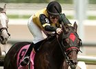 Silent Treat will carry highweight in the Oct. 19 Ontario Fashion Stakes.