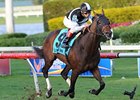 Amira's Prince Streak on Line in GP Turf 'Cap Amira's Prince Streak on Line in GP Turf 'Cap