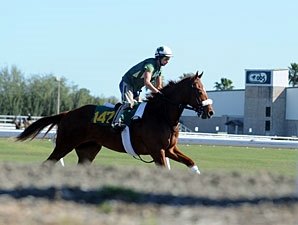 First OBS Under Tack Show Moved Back a Day First OBS Under Tack Show Moved Back a Day