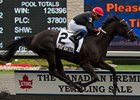 Youcan'tcatchme rolls home in the Seaway Stakes.