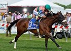 Somali Lemonade<br><a target="blank" href="http://photos.bloodhorse.com/AtTheRaces-1/At-the-Races-2014/i-bKR8Tzn">Order This Photo</a>