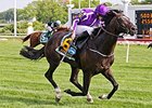 Adelaide won the 2014 Secretariat Stakes.