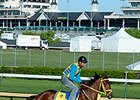 Wildcat Red <br><a target="blank"http://photos.bloodhorse.com/TripleCrown/2014-Triple-Crown/Kentucky-Derby-Workouts/i-PgLqKFN">Order This Photo</a>