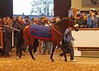 Lot 119, a 2-year-old War Front colt sold for 1,150,000 guineas on April 17.