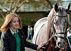 Teenage Horse Lover Integral Part of Donegal Teenage Horse Lover Integral Part of Donegal
