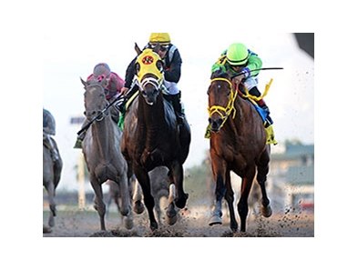 Wildcat Red, shown winning the Fountain of Youth Stakes, is nominated to the Toyota Blue Grass Stakes.
<br><a target="blank" href="http://photos.bloodhorse.com/AtTheRaces-1/At-the-Races-2014/35724761_2vdnSX#!i=3088436477&k=rtrQxFZ">Order This Photo</a>