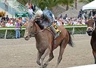 Gamay Noir won the Rampart Stakes on March 29.<br><a target="blank" href="http://photos.bloodhorse.com/AtTheRaces-1/At-the-Races-2014/35724761_2vdnSX#!i=3149907170&k=Z7KmDqP">Order This Photo</a>