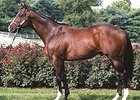 Tale of Ekati Represented by First Winner Tale of Ekati Represented by First Winner
