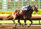 Wake Up Nick Wins Again in Barretts Juvenile Wake Up Nick Wins Again in Barretts Juvenile