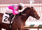Extrasexyhippzster, one of 2 stakes winners for trainer Mike Trombetta at Laurel on Jan 25.