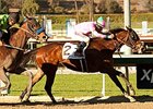 Fashion Plate won the Las Virgenes Stakes on Feb 1.