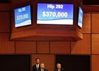 F-T October Sale Gains Across Board at Opener F-T October Sale Gains Across Board at Opener