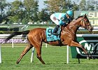 Lady Eli won the Miss Grillo Stakes by 3 lengths on Sept 28.<br><a target="blank" href="http://photos.bloodhorse.com/AtTheRaces-1/At-the-Races-2014/i-GFgvFWq">Order This Photo</a>