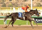 Shakin It Up comes home strong to win the Strub Stakes.
