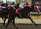 International Star wins the Grey Stakes.
