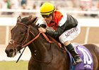 Wishing Gate comes east for the Florida Sunshine Millions Filly and Mare Turf.