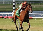 Little Mike delivers victory in the Flying Pidgeon.<br><a target="blank" href="http://photos.bloodhorse.com/AtTheRaces-1/At-the-Races-2014/i-kGfj8kn">Order This Photo</a>