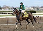Honor Code<br><a target="blank" href="http://photos.bloodhorse.com/AtTheRaces-1/at-the-races-2013/27257665_QgCqdh#!i=2940293938&k=3tRqP9c">Order This Photo</a>