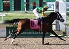Palace Malice wins the New Orleans Handicap.
