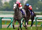 Gold Ship, Gentildonna Top Takarazuka Kinen Gold Ship, Gentildonna Top Takarazuka Kinen