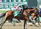 Zivo flew late to take the Commentator Stakes.<br><a target="blank" href="http://photos.bloodhorse.com/AtTheRaces-1/At-the-Races-2014/i-9CbKRHV">Order This Photo</a>