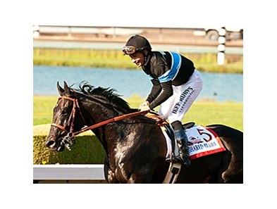 Shared Belief has been installed the 5-2 morning-line favorite in the Pacific Classic.