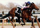 Strategic Maneuver winning the Demoiselle Stakes.
<br><a target="blank" href="http://photos.bloodhorse.com/Classics/Classic-Photos/i-r2CwdJ8">Order This Photo</a>
