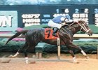 Retro Rebel: Smarty Jones Wowed in 2004 Retro Rebel: Smarty Jones Wowed in 2004