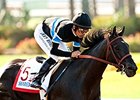 Shared Belief