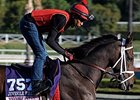 Grade I Winner My Conquestadory Retired Grade I Winner My Conquestadory Retired
