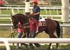 Dubai Interview - Patrick Shaw Dubai Interview - Patrick Shaw