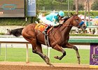 American Pharoah