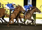 Godolphin Pair Top U.A.E. Guineas Field Godolphin Pair Top U.A.E. Guineas Field