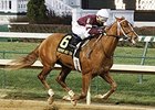Tapiture won the 2013 Kentucky Jockey Club Stakes.
