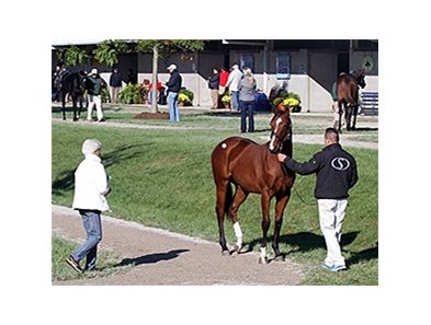 Fasig-Tipton October Sale.