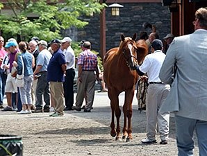 F-T Saratoga Sale Rich in Well-Bred Fillies F-T Saratoga Sale Rich in Well-Bred Fillies