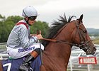 Toronado after winning the 2013 Sussex Stakes.
<br><a target="blank" href="http://photos.bloodhorse.com/AtTheRaces-1/At-the-races-2013/i-QB9SPHm">Order This Photo</a>